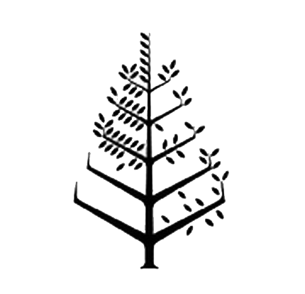 会安南海四季度假酒店 Logo